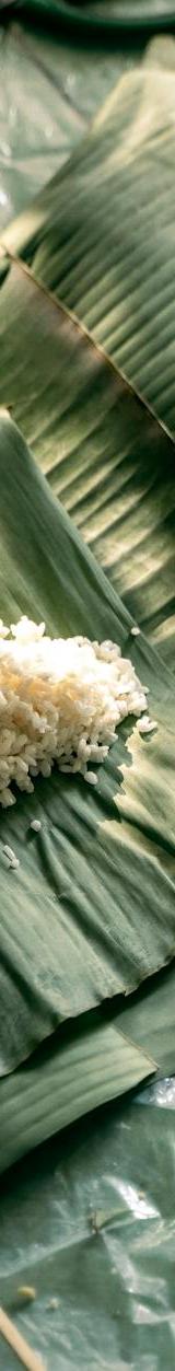 Tamales Colombianos