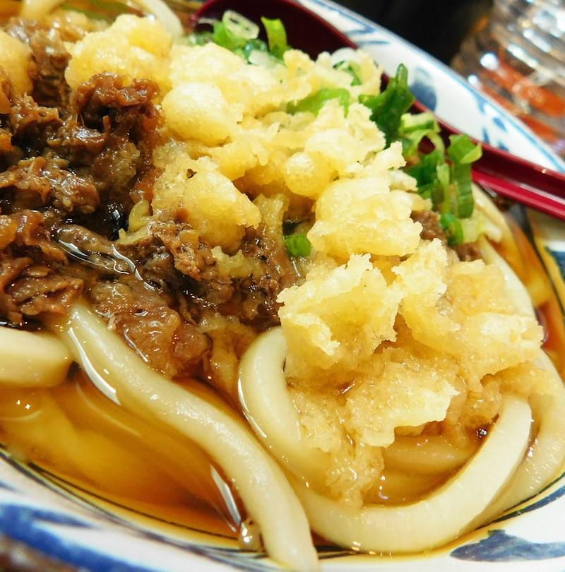 Tanuki Udon