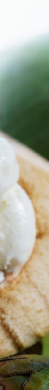 Thai Coconut Ice Cream