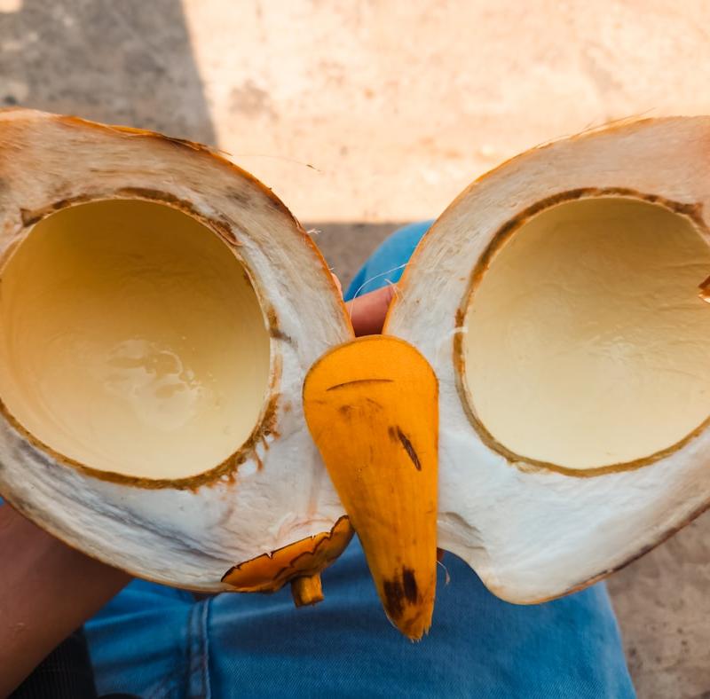 Thai Pumpkin Custard (Sang Kaya Fak Thong)