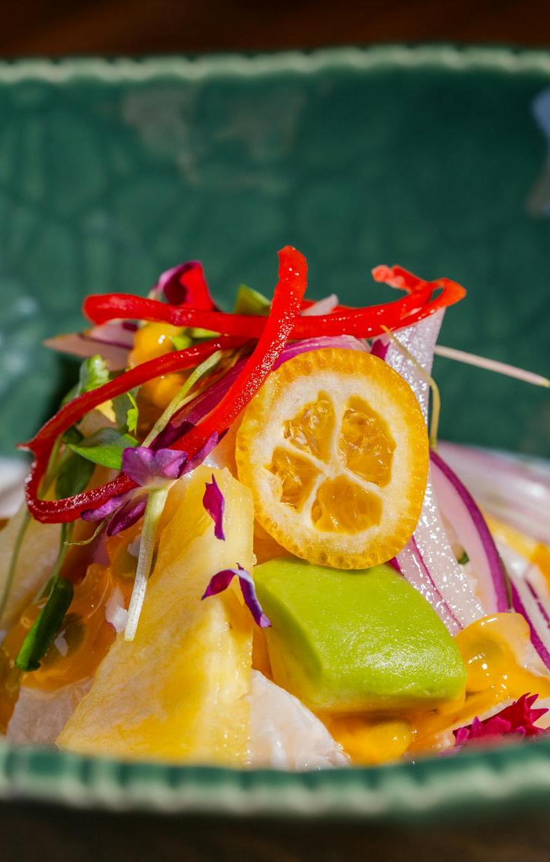 Tiradito de Pescado — Peruvian Ceviche Plate