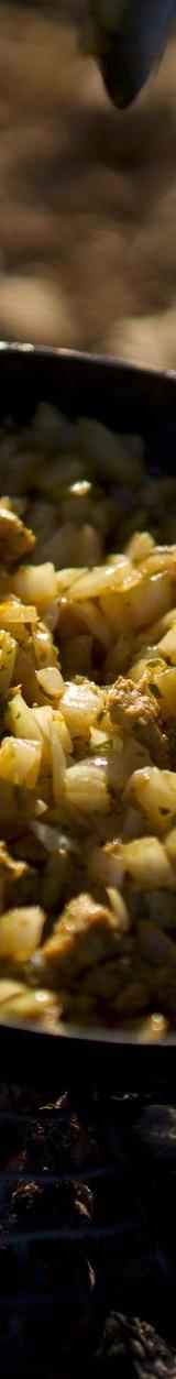 Tyrolean Potato and Meat Skillet