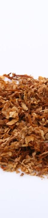 Toasted Coconut Chips
