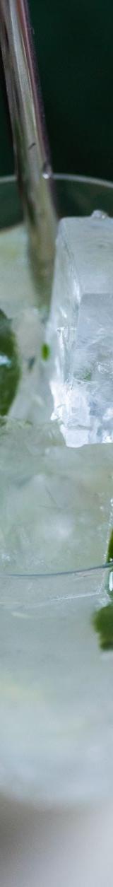 Tom Collins