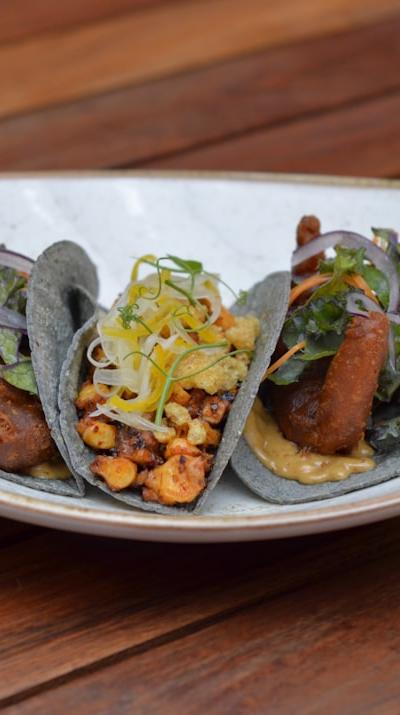 Tripa Tacos