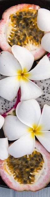 Tropical Passion Fruit Coconut Blend