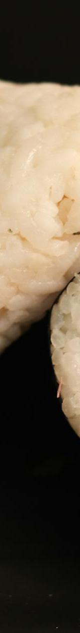 Umami Onigiri