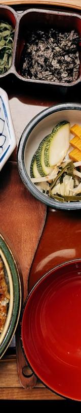 Unagi Don