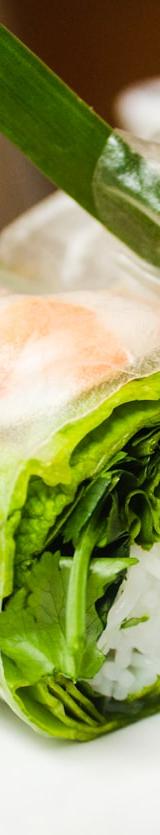 Vietnamese Shrimp Spring Rolls