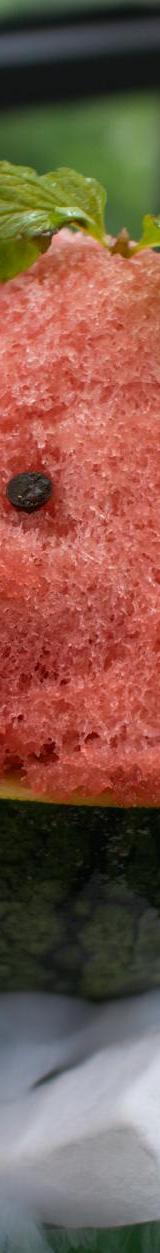 Watermelon Kakigori & Lychee Tea