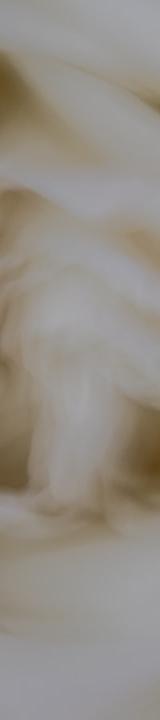 Whipped Toum — Lebanese Garlic Sauce