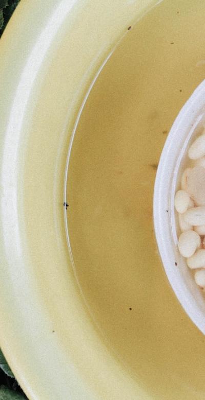 White Bean Soup with Garlic & Herbs