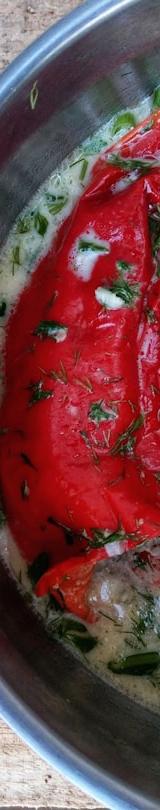 Yakhni Lamb