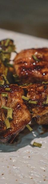 Yakitori Negima Skewers