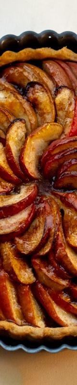Zwetschgenkuchen (German Plum Cake)