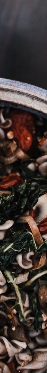 Cheesy Kale Pasta Bake