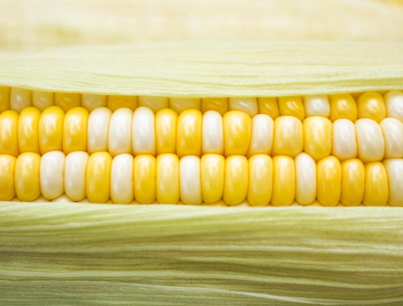 Microwave Corn on the Cob
