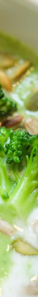 10-Minute Cream of Broccoli Soup