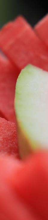 Lime & Salt Watermelon Sticks