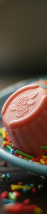 Strawberry Fudge Bites