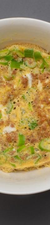 Fluffy Onion Pepper Omelet
