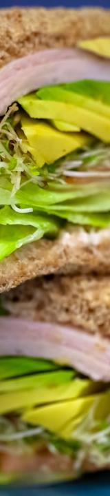 Turkey Avocado Sandwich