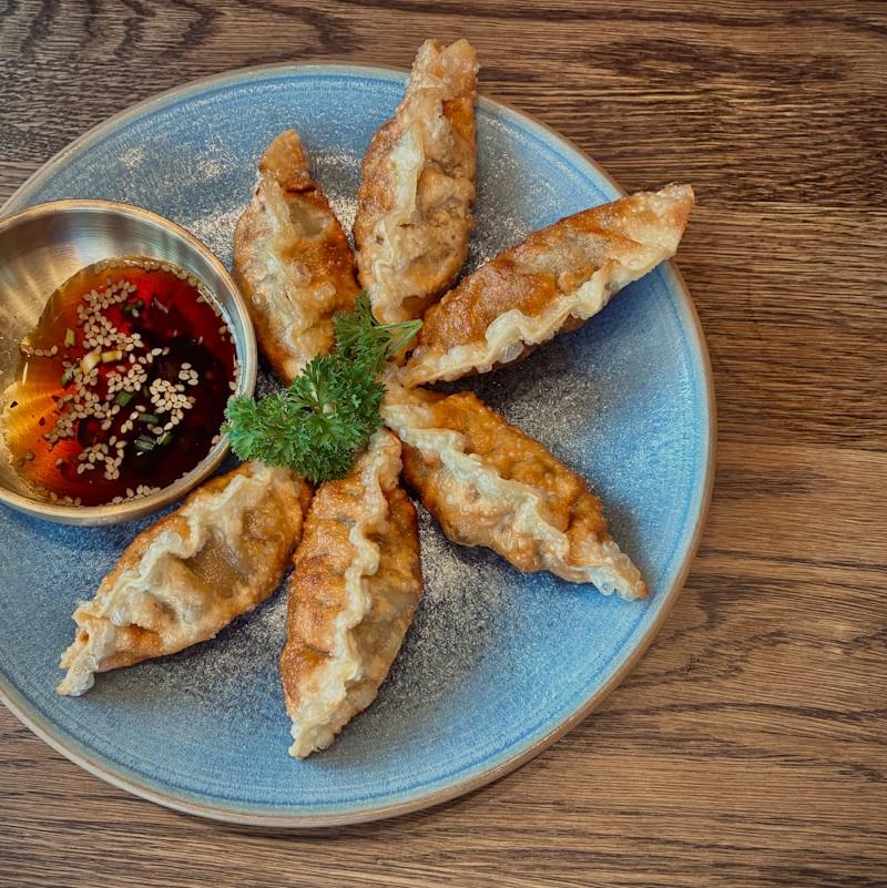 Crispy Pan-Fried Dumplings