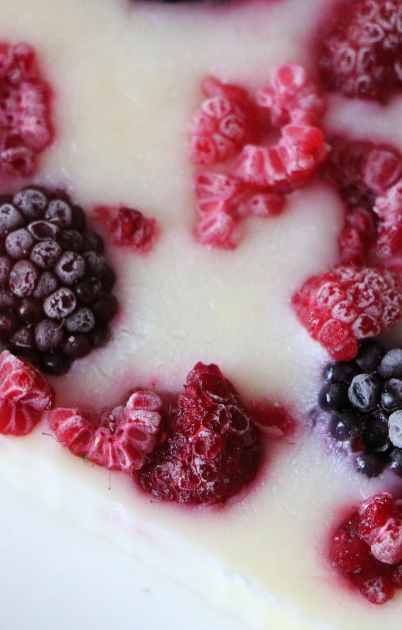 Berry Yogurt Bark