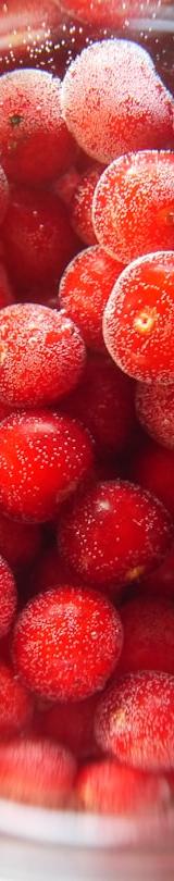Sparkling Sugared Cranberries