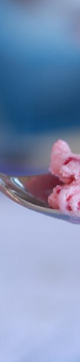 Honey Swirl Raspberry Frozen Yogurt