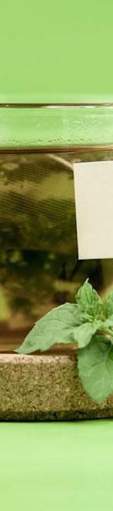 Fresh Mint Tea