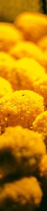 10-Min Crispy Garlic Cheese Balls