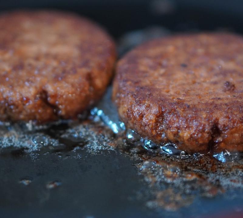 Pan-Fried Salmon Patties
