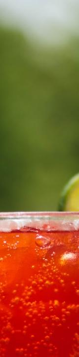 Cranberry Lime Sparkler
