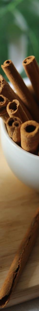 Honey Cinnamon Stick Tea