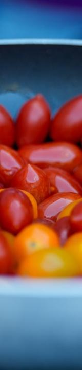 Blistered Cherry Tomatoes with Garlic